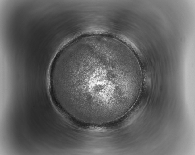 X0000098070582200804110924