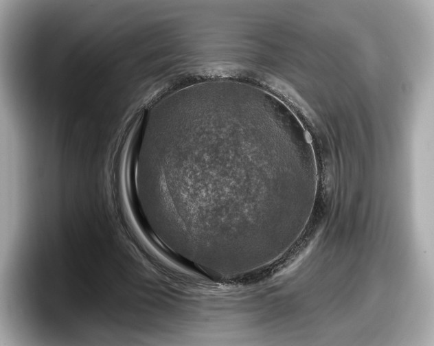 X0000098070585200804110924