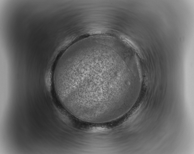 X0000098070586200804110924