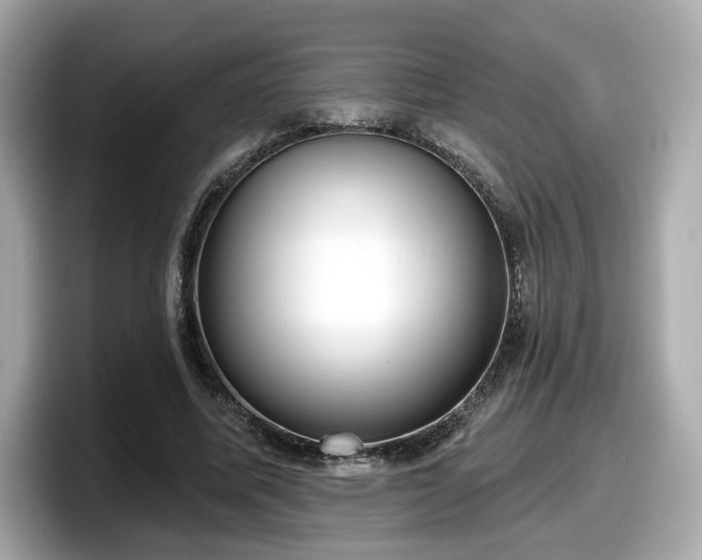 X0000098070587200804110924