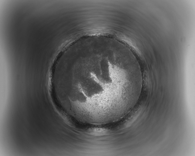 X0000098070590200804110924