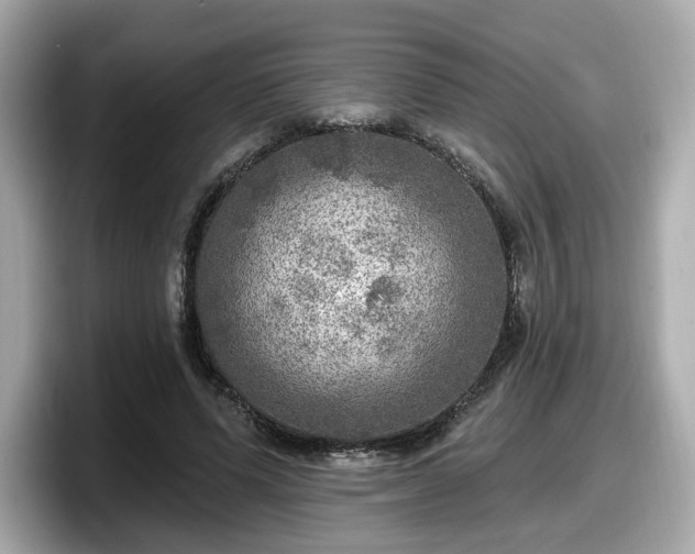 X0000098070591200804110924