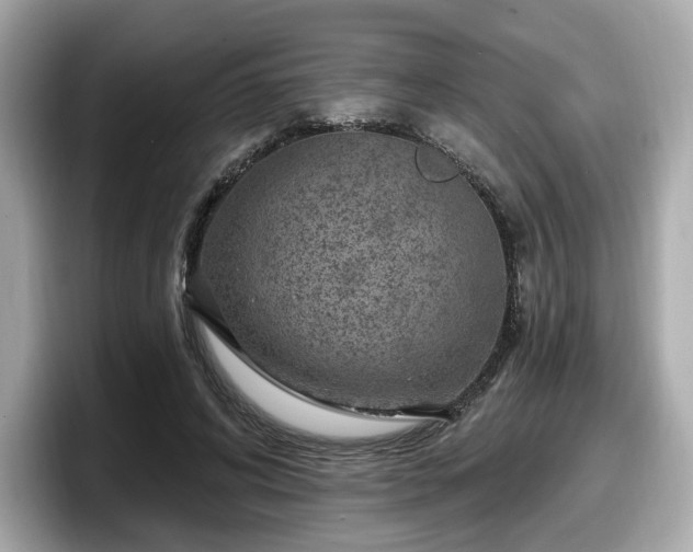 X0000098070592200804110924