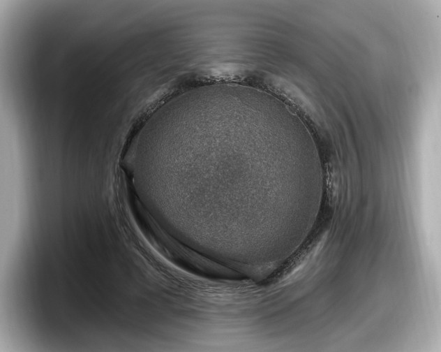 X0000098070593200804110924