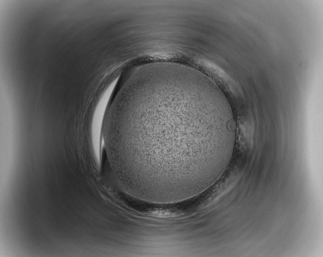 X0000098070596200804110924