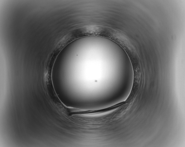 X0000098070597200804110924