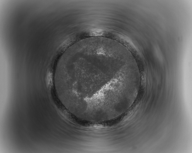 X0000098070598200804110924