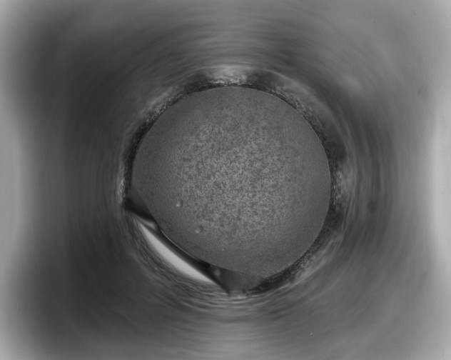 X0000098070600200804110924