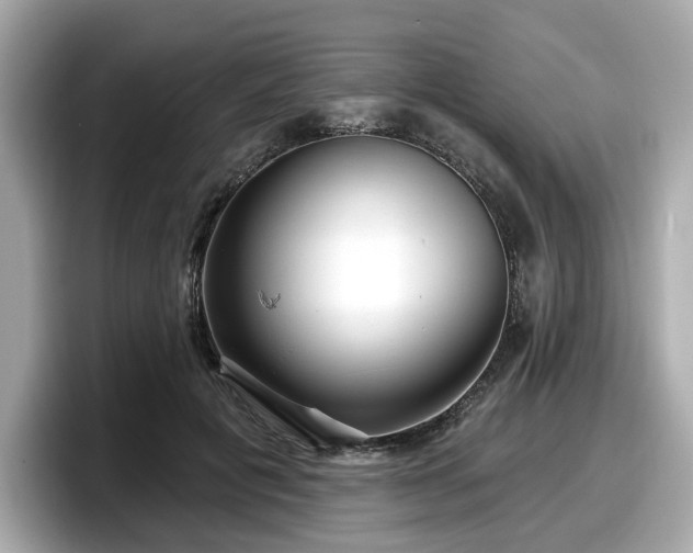 X0000098070601200804110924