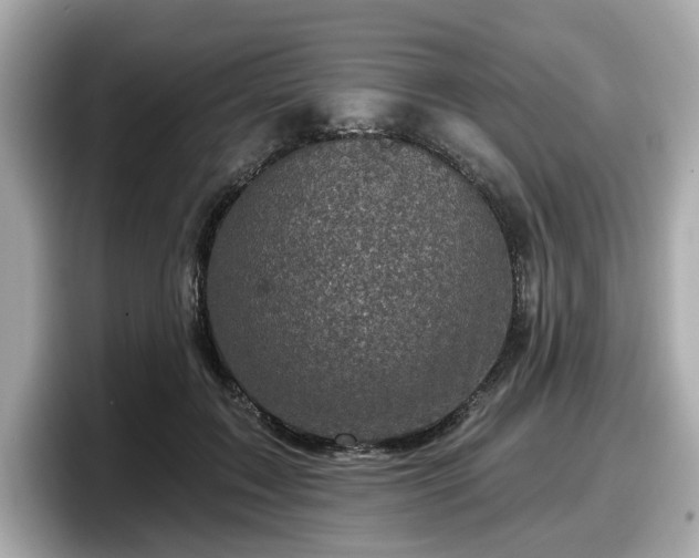 X0000098070603200804110924