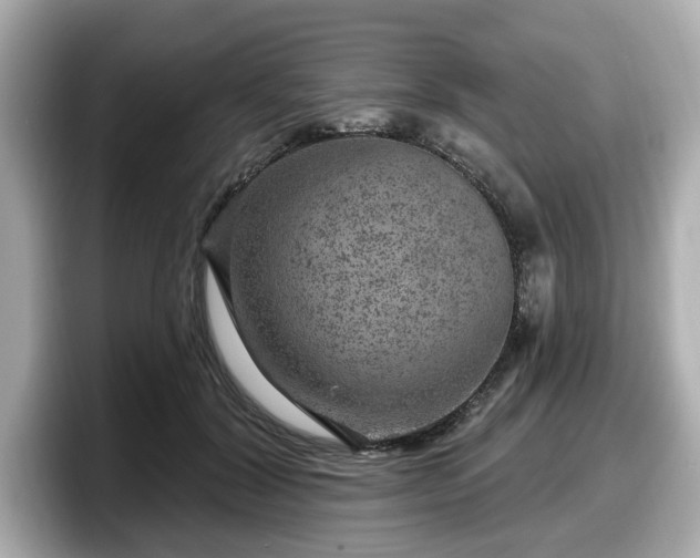 X0000098070604200804110924