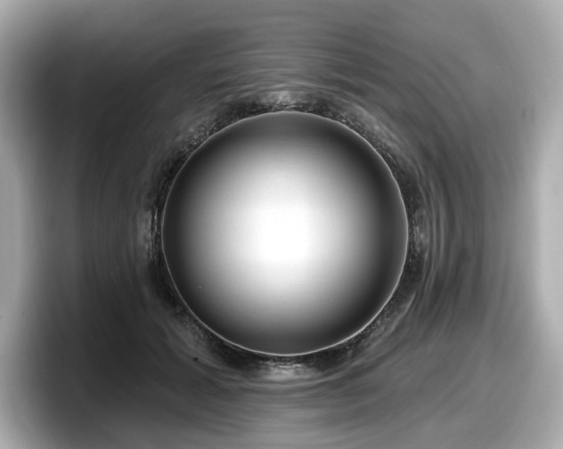 X0000098070605200804110924