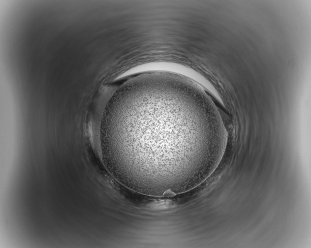 X0000098070609200804110924