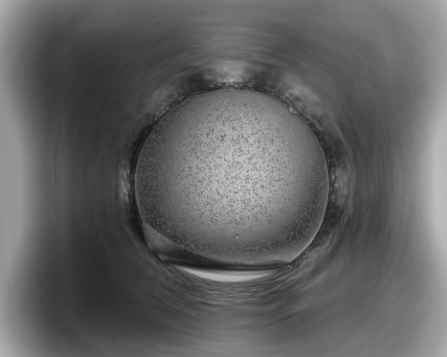 X0000098070612200804110924