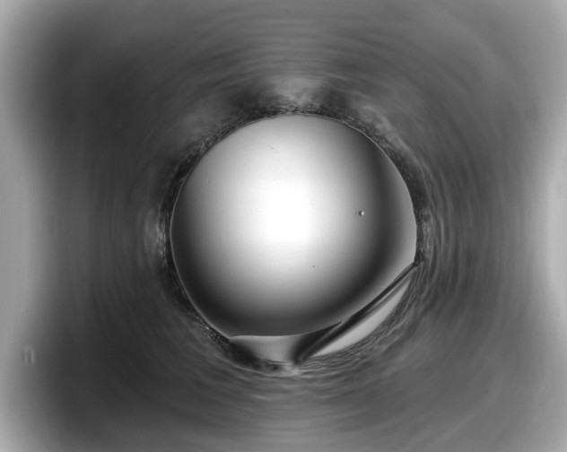 X0000098070613200804110924