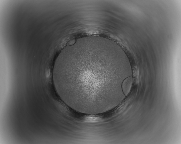 X0000098070614200804110924