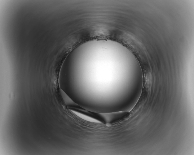 X0000098070617200804110924