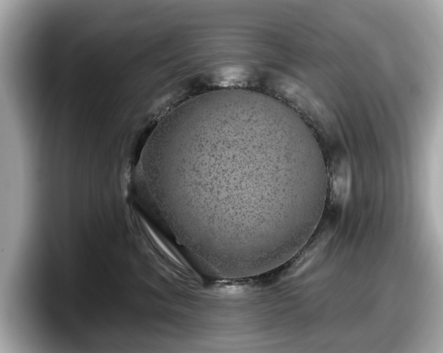 X0000098070620200804110924