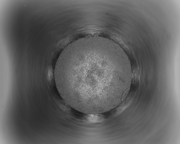 X0000098070623200804110924