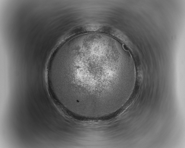 X0000098070626200804110923