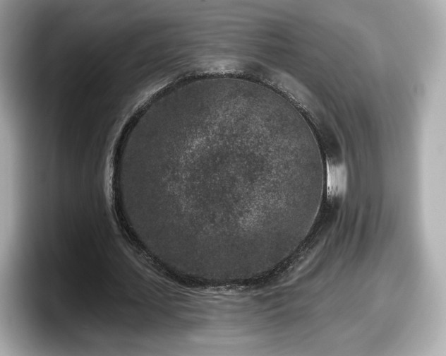 X0000098070627200804110923