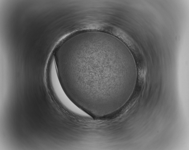 X0000098070628200804110923