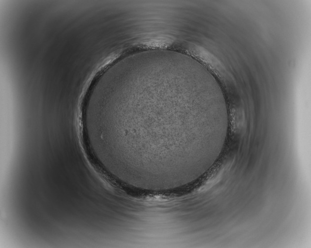 X0000098070634200804110923