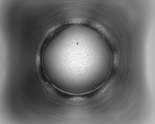 X0000098070636200804110923