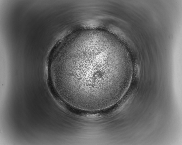 X0000098070638200804110923