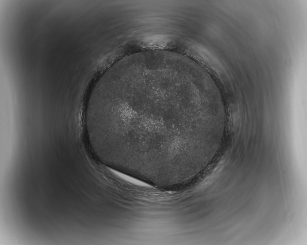 X0000098070641200804110923