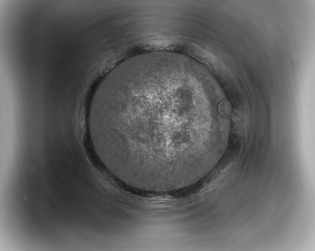 X0000098070642200804110923