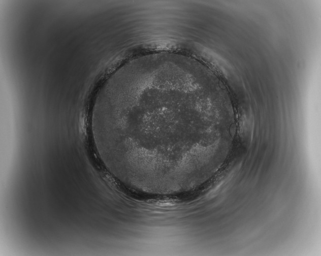 X0000098070643200804110923