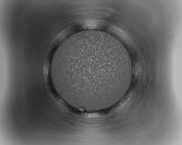 X0000098070645200804110923