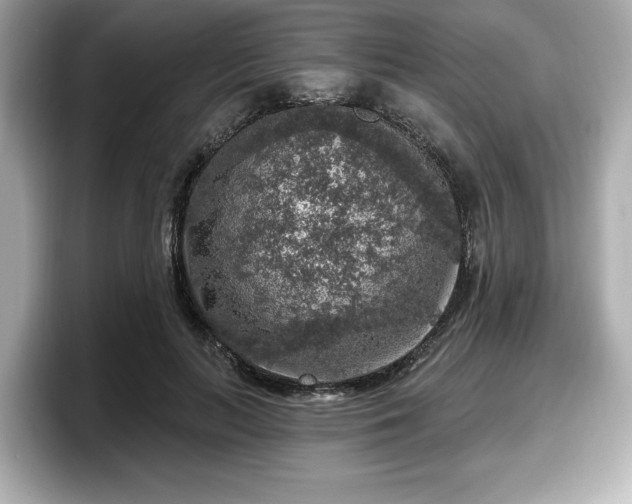 X0000098070647200804110923