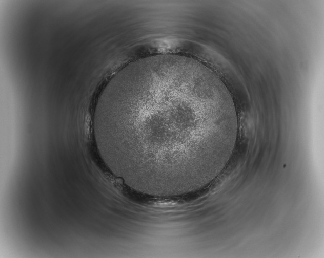 X0000098070650200804110923