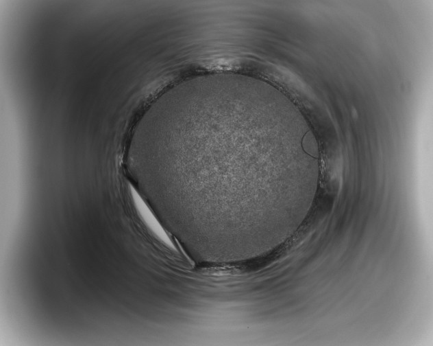 X0000098070652200804110923