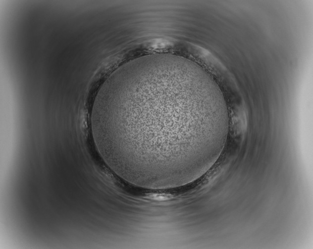 X0000098070654200804110923