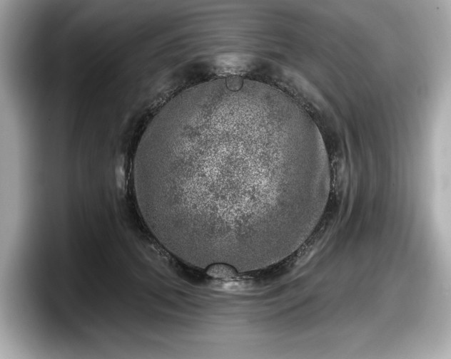 X0000098070655200804110923