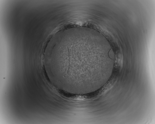 X0000098070656200804110923