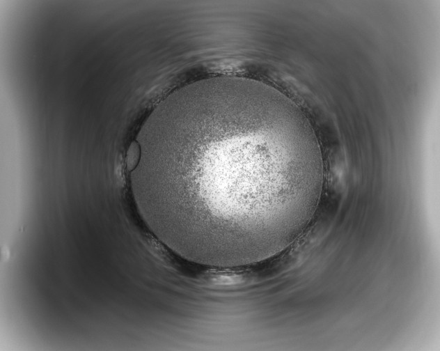 X0000098070658200804110923