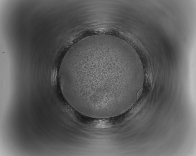 X0000098070660200804110923