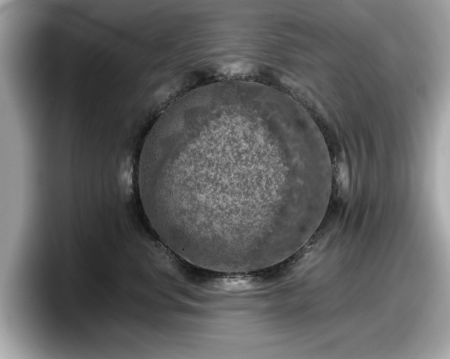 X0000098070668200804110923