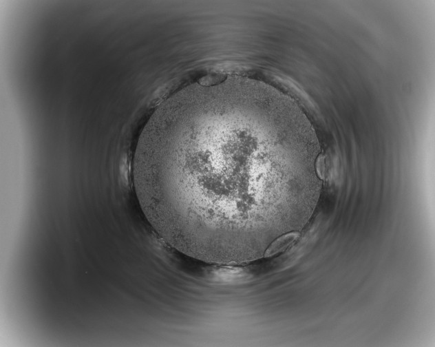 X0000098070669200804110923