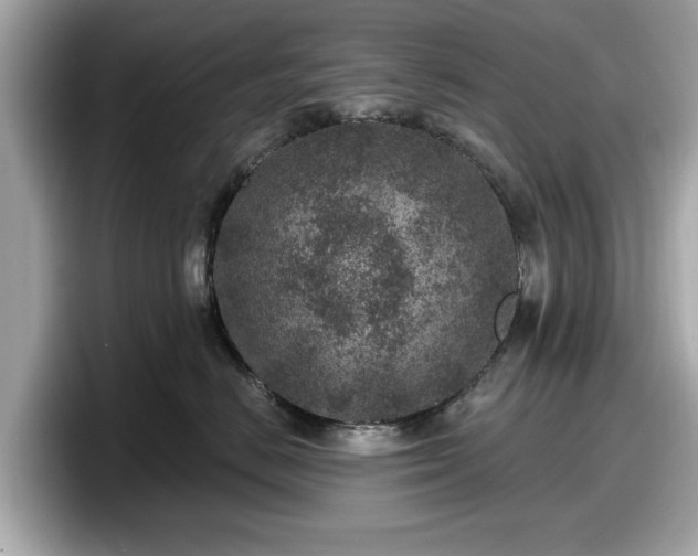 X0000098070670200804110923