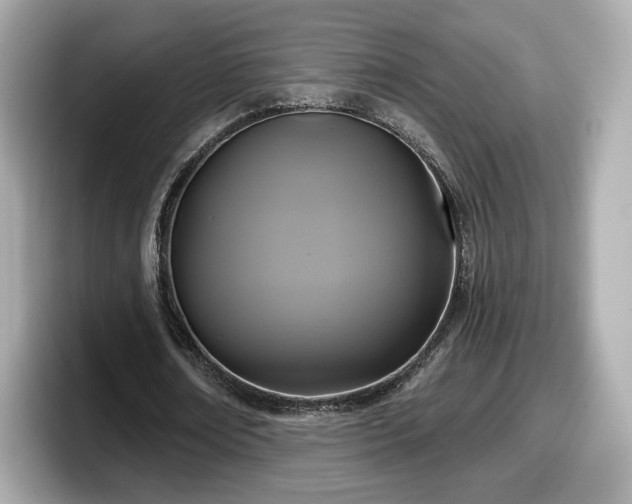 X0000098070674200804110923