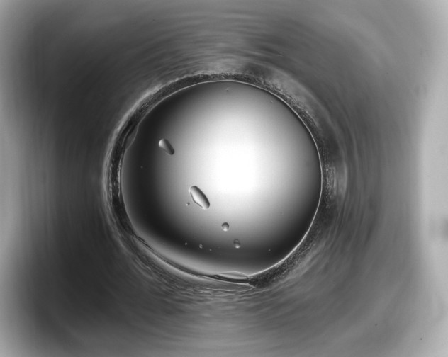 X0000098070676200804110923