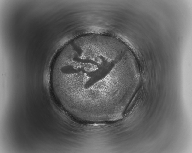 X0000098070679200804110923