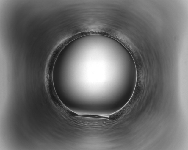 X0000098070680200804110923