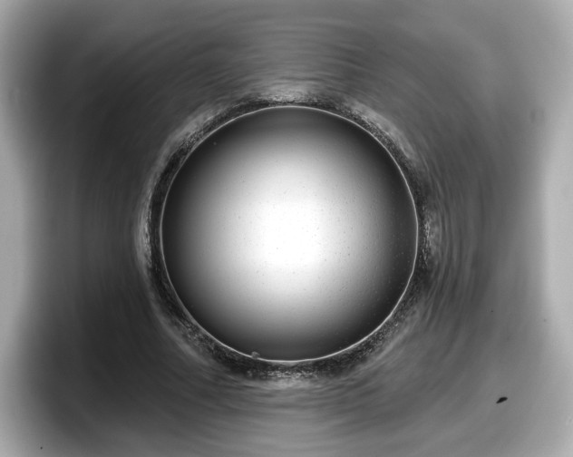 X0000098070682200804110923