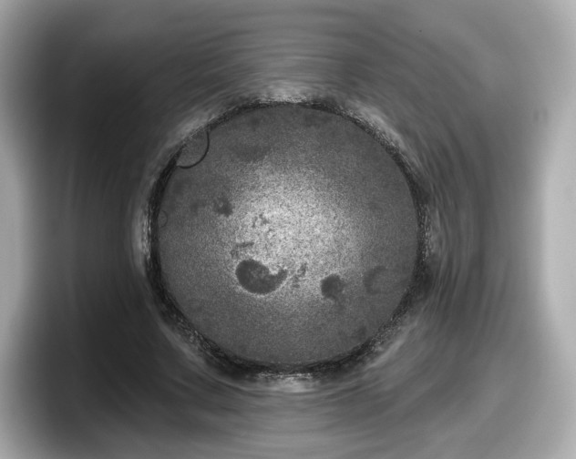 X0000098070683200804110923